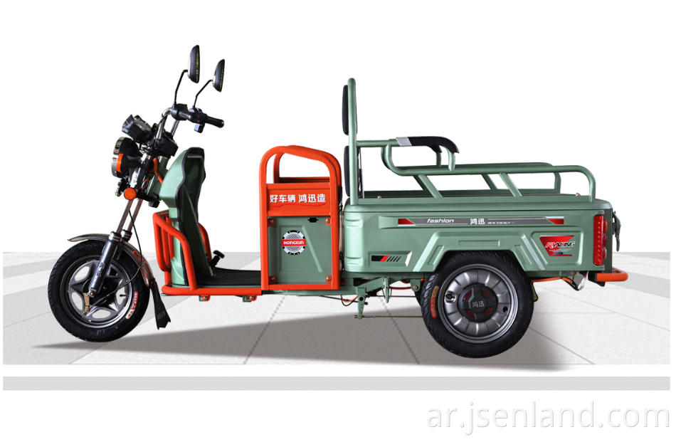دراجة ثلاثية العجلات الكهربائية مع الإطارات الدهنية Electric Tricycle with Fat Tire